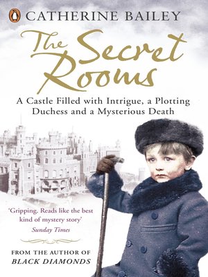 cover image of The Secret Rooms